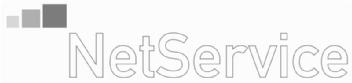 Imagen de NETSERVICE