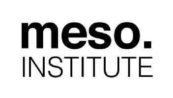 Imagen de MESOINSTITUTE
