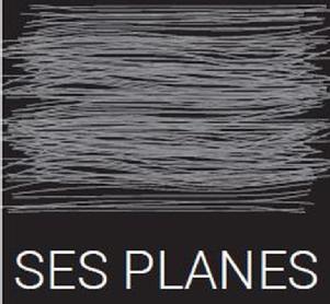 Imagen de SES PLANES