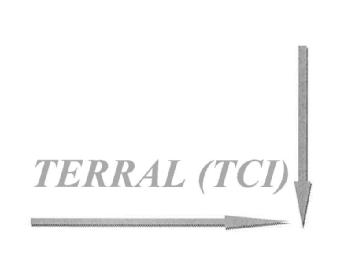 Imagen de TERRAL (TCI)