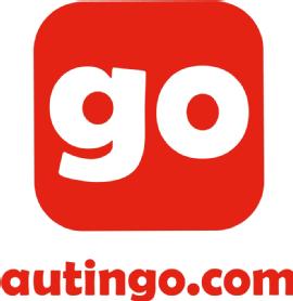 Imagen de GO AUTINGO.COM