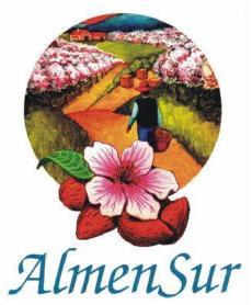 Imagen de ALMENSUR