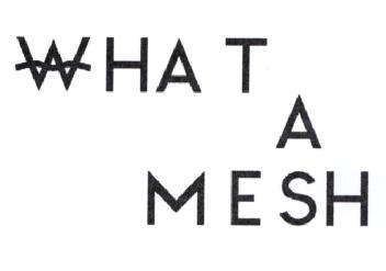 Imagen de WHAT A MESH