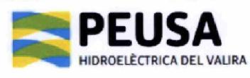 Imagen de PEUSA HIDROELECTRICA DEL VALIRA