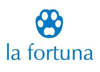 Imagen de LA FORTUNA