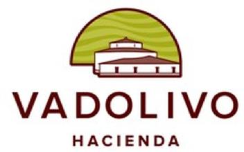 Imagen de HACIENDA VADOLIVO
