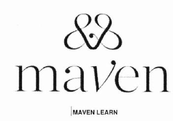 Imagen de MAVEN LEARN