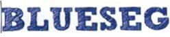 Imagen de BLUESEG