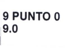 Imagen de 9 PUNTO 0 9.0