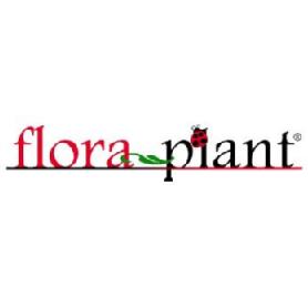 Imagen de FLORAPLANT