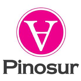 Imagen de PINOSUR