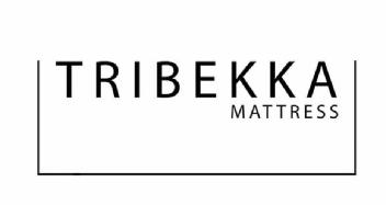 Imagen de TRIBEKKA MATTRESS