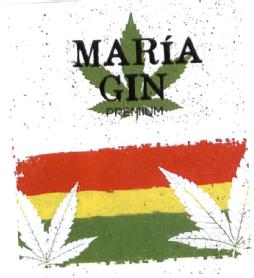 Imagen de MARIA GIN PREMIUM