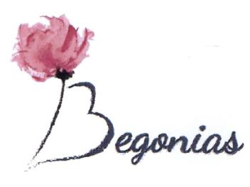 Imagen de BEGONIAS