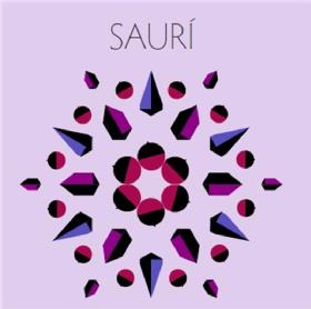 Imagen de SAURI