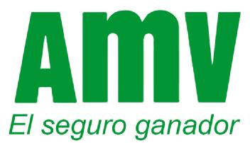 Imagen de AMV EL SEGURO GANADOR