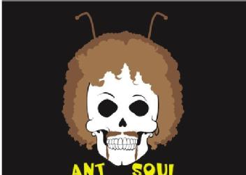 Imagen de ANT SOUL