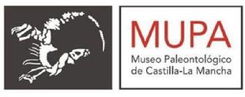 Imagen de MUPA MUSEO PALEONTOLOGICO DE CASTILLA-LA MANCHA