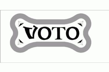 Imagen de VOTO