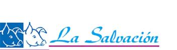 Imagen de LA SALVACION