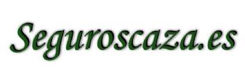Imagen de SEGUROSCAZA.ES