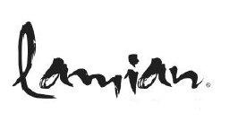 Imagen de LAMIAN