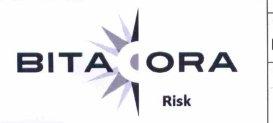 Imagen de BITACORA RISK