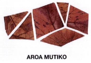 Imagen de AROA MUTIKO