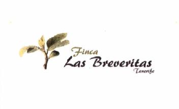Imagen de FINCA LAS BREVERITAS TENERIFE