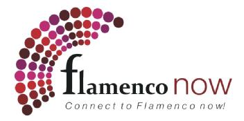 Imagen de FLAMENCO NOW CONNECT TO FLAMENCO NOW!