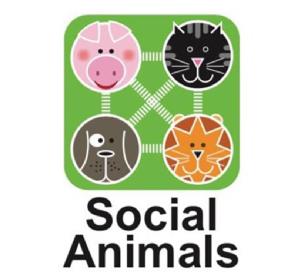 Imagen de SOCIAL ANIMALS