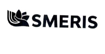 Imagen de SMERIS