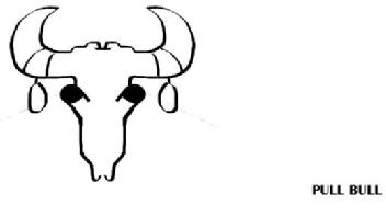 Imagen de PULL BULL