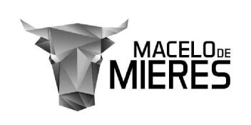 Imagen de MACELO DE MIERES