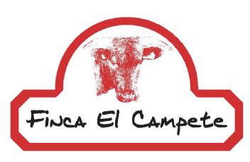 Imagen de FINCA EL CAMPETE