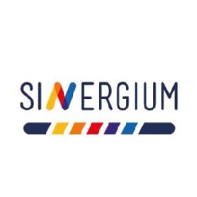 Imagen de SINERGIUM