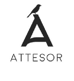 Imagen de ATTESOR A