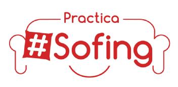 Imagen de PRACTICA SOFING