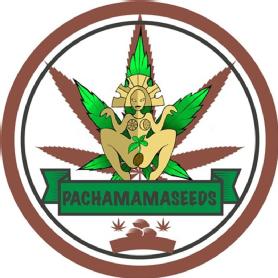 Imagen de PACHAMAMASEEDS