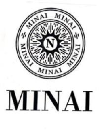 Imagen de MINAI N