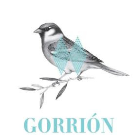 Imagen de GORRION