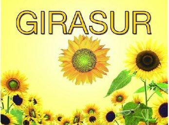 Imagen de GIRASUR