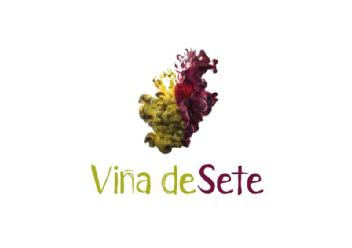 Imagen de VIÑA DESETE