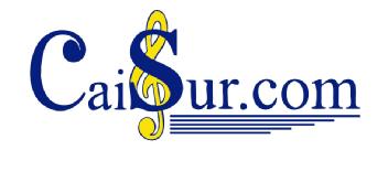 Imagen de CAISUR.COM