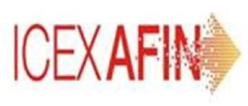 Imagen de ICEX AFIN
