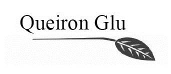Imagen de QUEIRON GLU