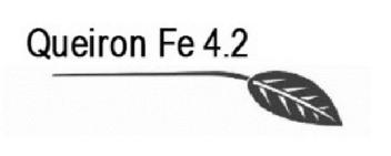 Imagen de QUEIRON FE 4.2