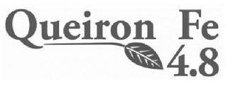 Imagen de QUEIRON FE 4.8