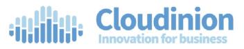 Imagen de CLOUDINION INNOVATION FOR BUSINESS