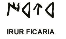 Imagen de IRUR FICARIA
